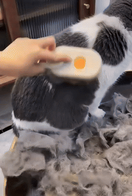 SteamPaw brush removing loose fur in action on calm cat